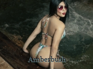 Amberbush