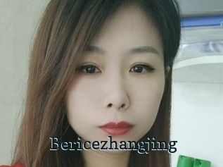Bericezhangjing
