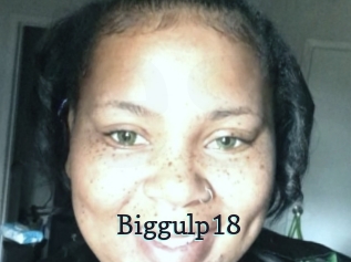 Biggulp18