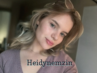 Heidynemzin