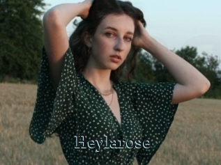 Heylarose