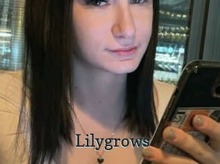Lilygrows