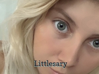 Littlesary
