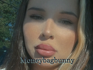 Moneybagbunny