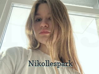 Nikollespark