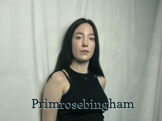 Primrosebingham