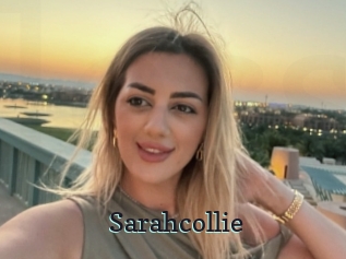 Sarahcollie