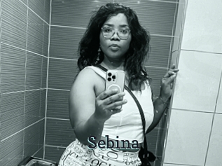Sebina