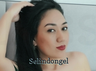 Selindongel